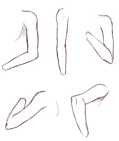 Featured image of post Anime Female Arm Drawing Reference